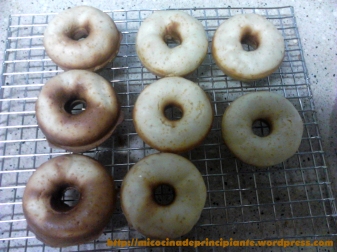 donuts_doughnuts_babycake